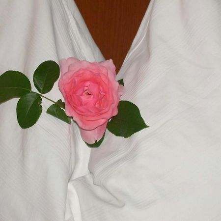 Gasthof Thaller Hotel Lebring Luaran gambar