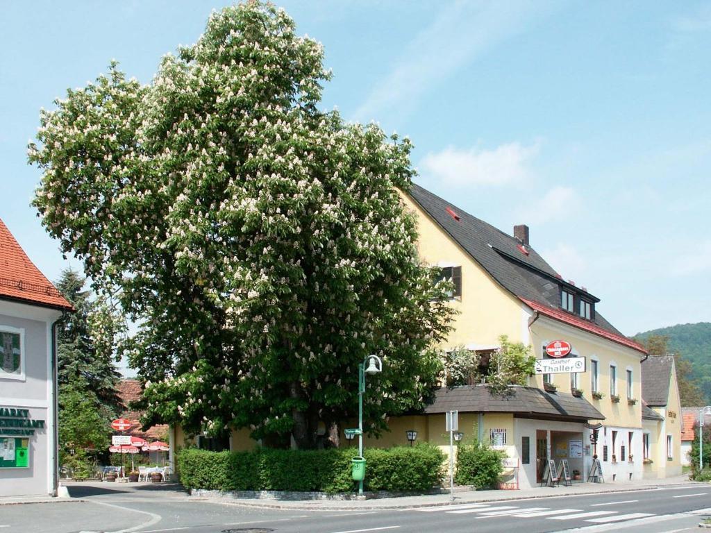 Gasthof Thaller Hotel Lebring Luaran gambar